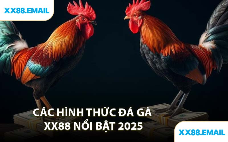 Các Hình Thức Đá Gà XX88 Nổi Bật 2025
