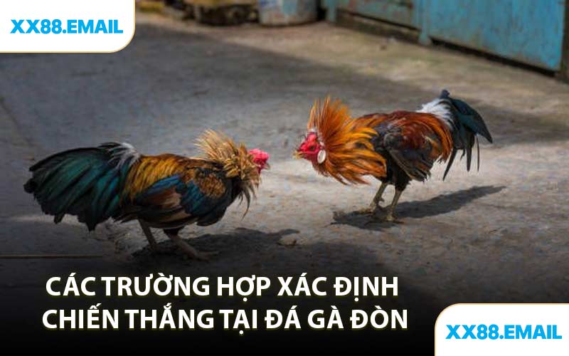 Các Trường Hợp Xác Định Chiến Thắng Tại Đá Gà Đòn