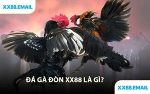 Đá Gà Đòn XX88 Là Gì?