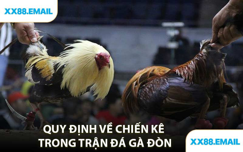 Quy Định Về Chiến Kê Trong Trận Đá Gà Đòn
