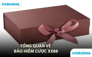 Tổng Quan Về Bảo Hiểm Cược XX88